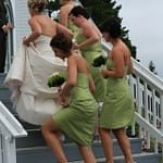 IMG_8729