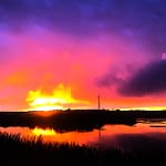 IMG_3540